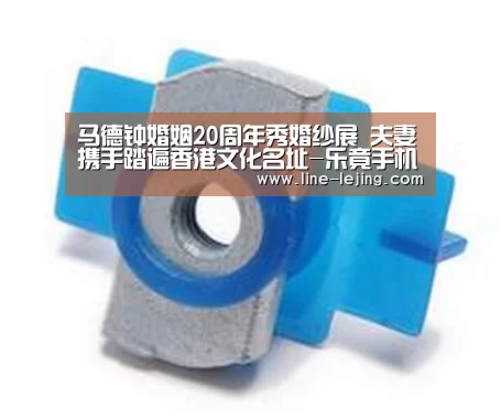 马德钟婚姻20周年秀婚纱展 夫妻携手踏遍香港文化名址-乐竟手机版(图2) 乐竟体育官网